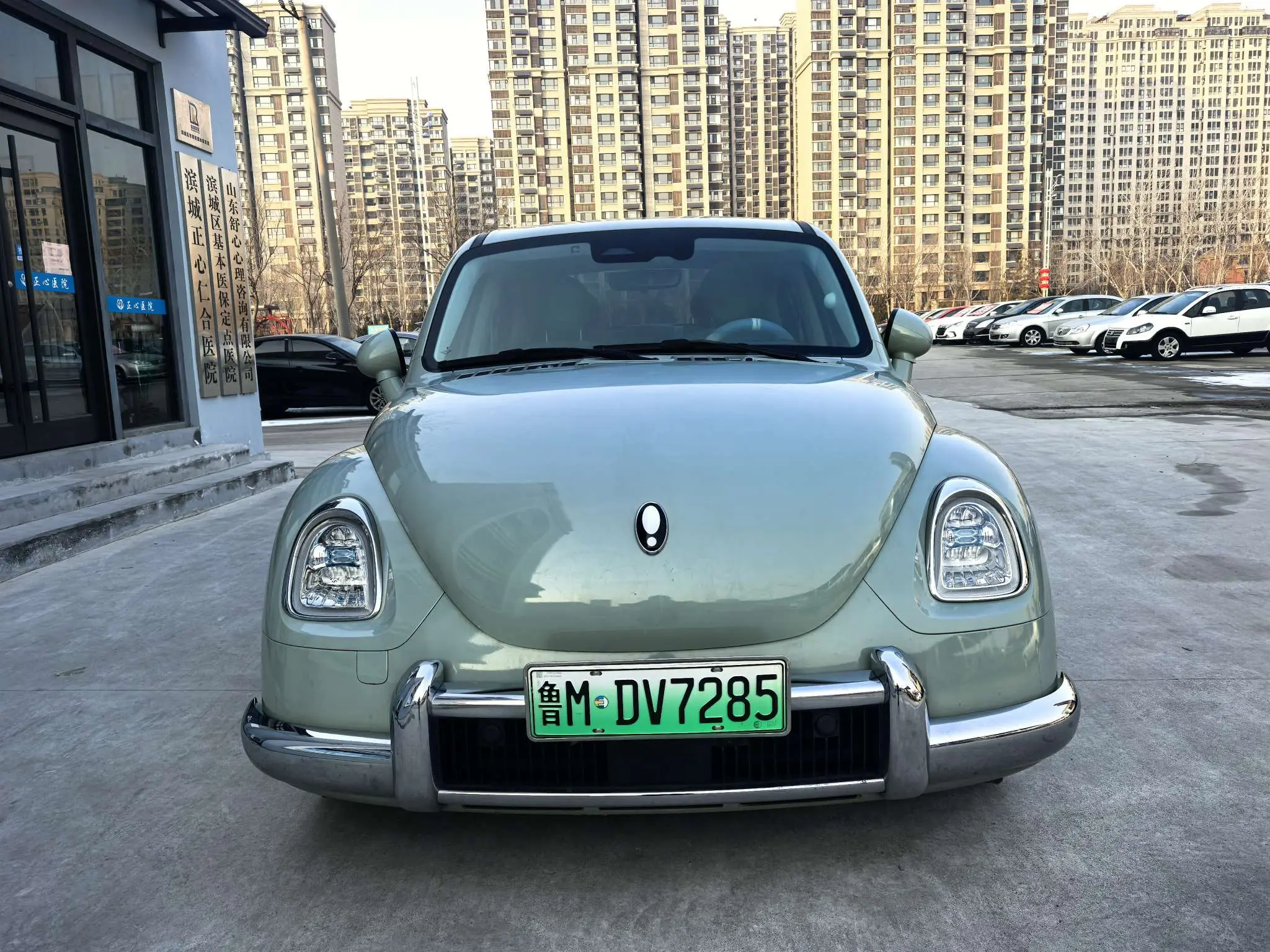 ORA Euler ballet cat  из Китая