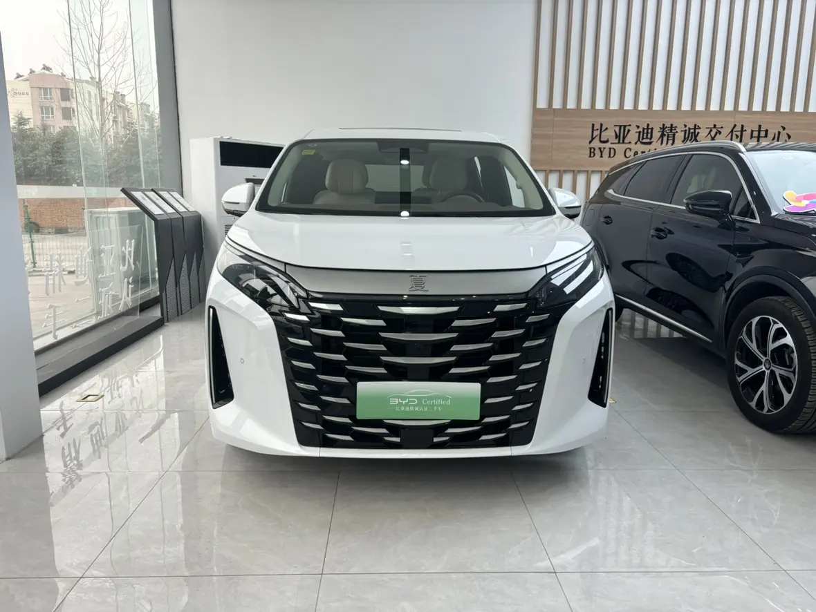 BYD Summer  из Китая