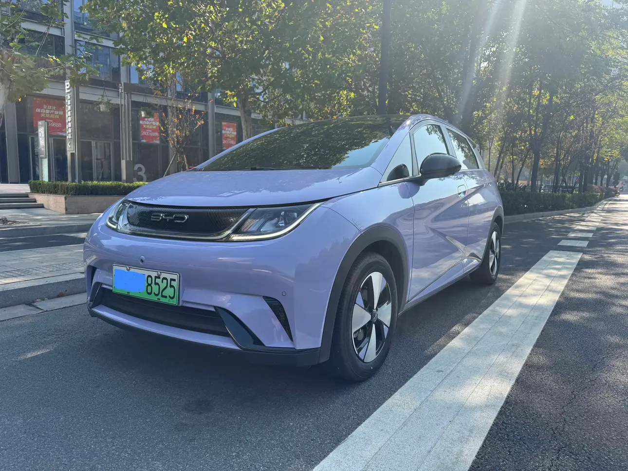 BYD Dolphin  из Китая