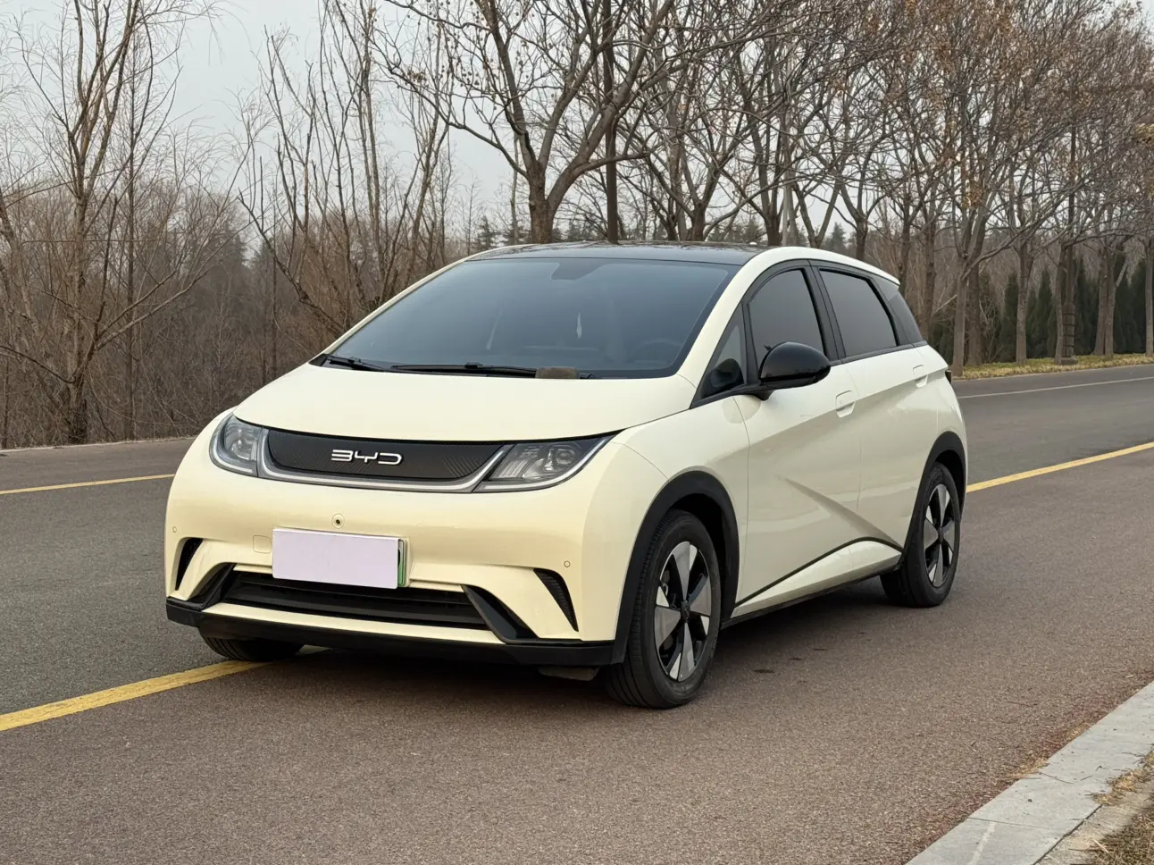 BYD Dolphin  из Китая