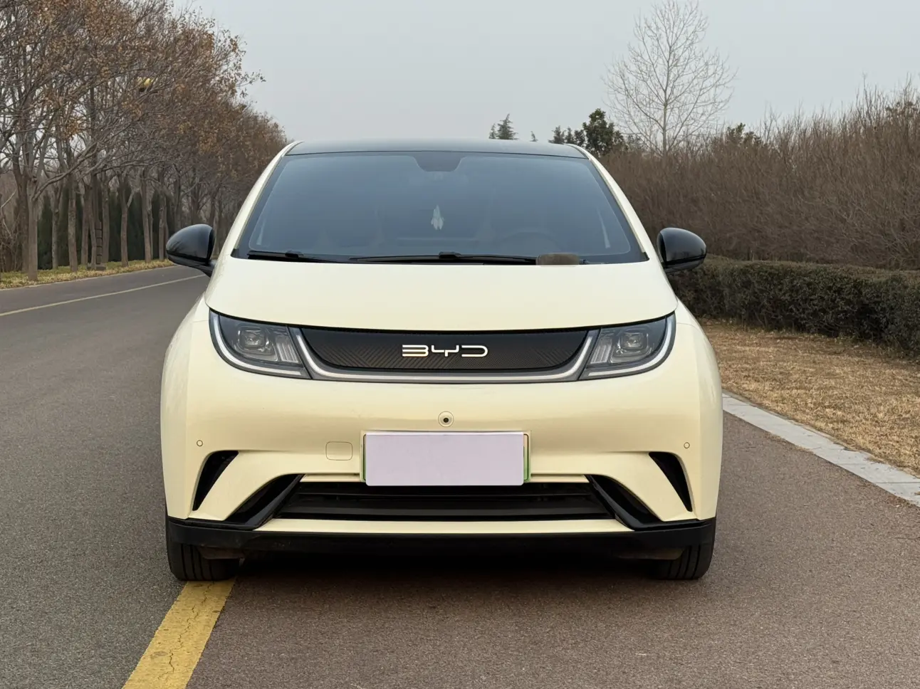 BYD Dolphin  из Китая