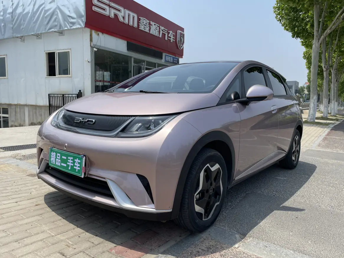 BYD Dolphin  из Китая