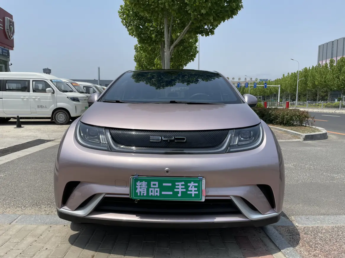 BYD Dolphin  из Китая
