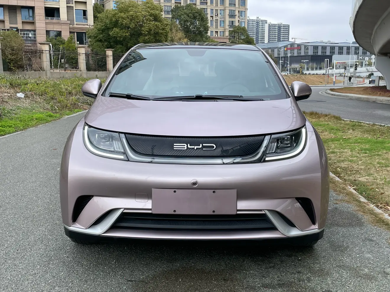 BYD Dolphin  из Китая