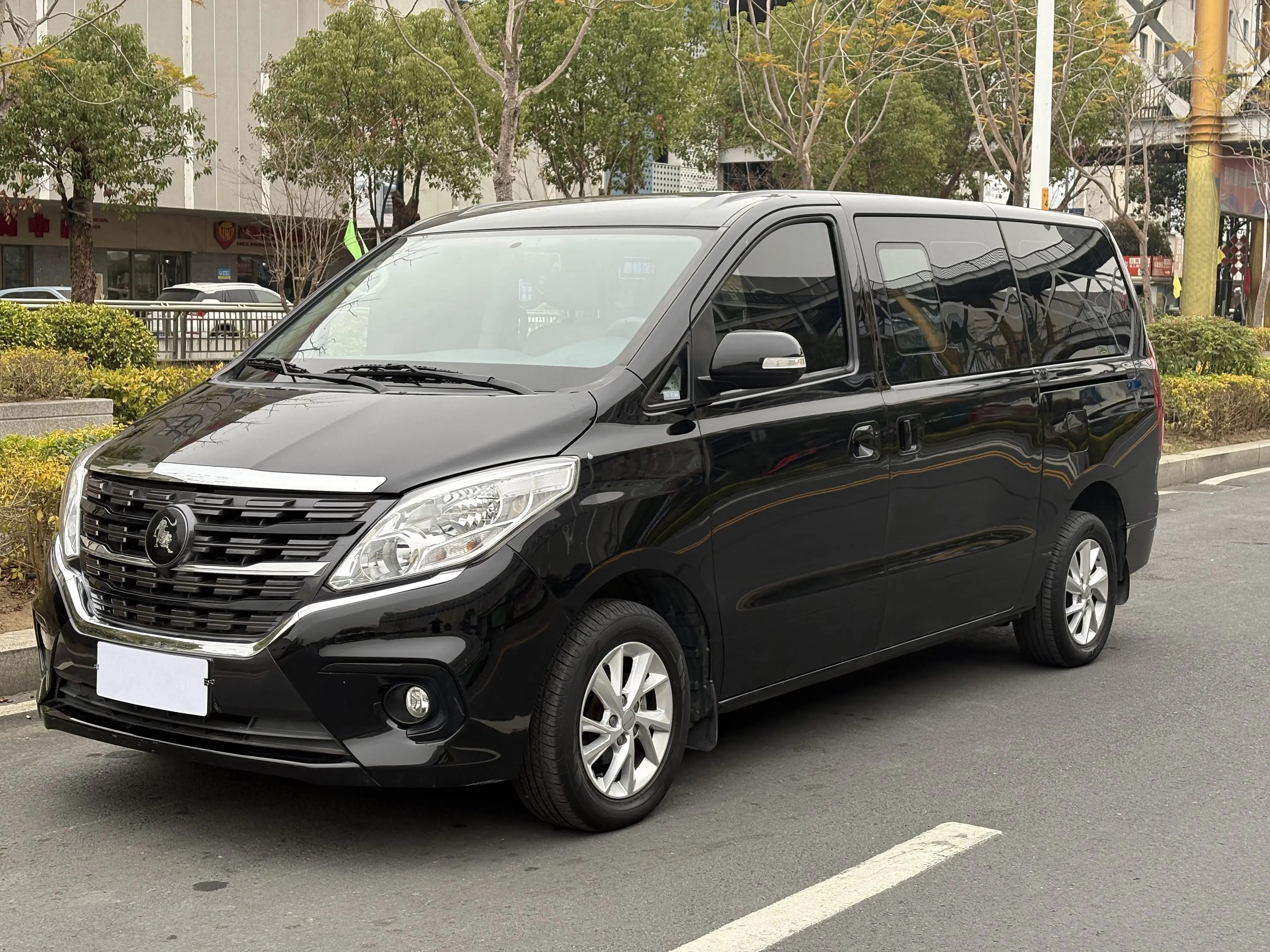 Forthing Lingzhi PLUS  из Китая