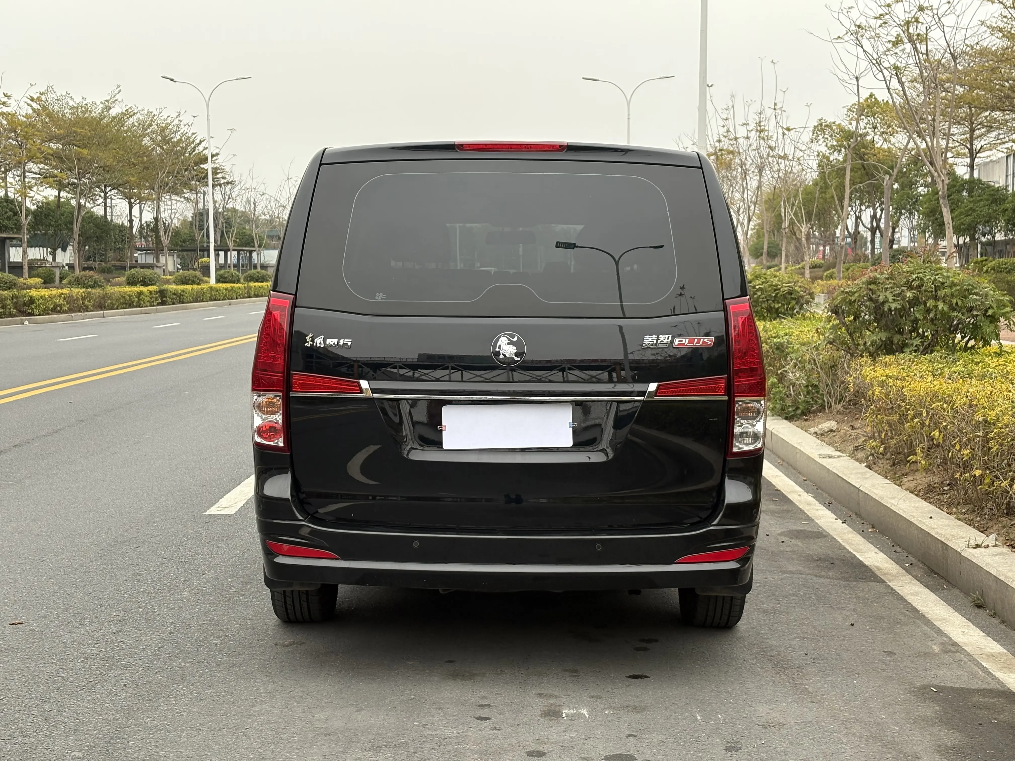 Forthing Lingzhi PLUS  из Китая