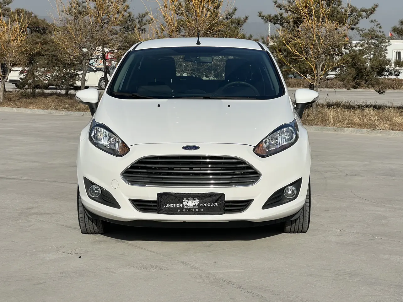 Ford Carnival  из Китая