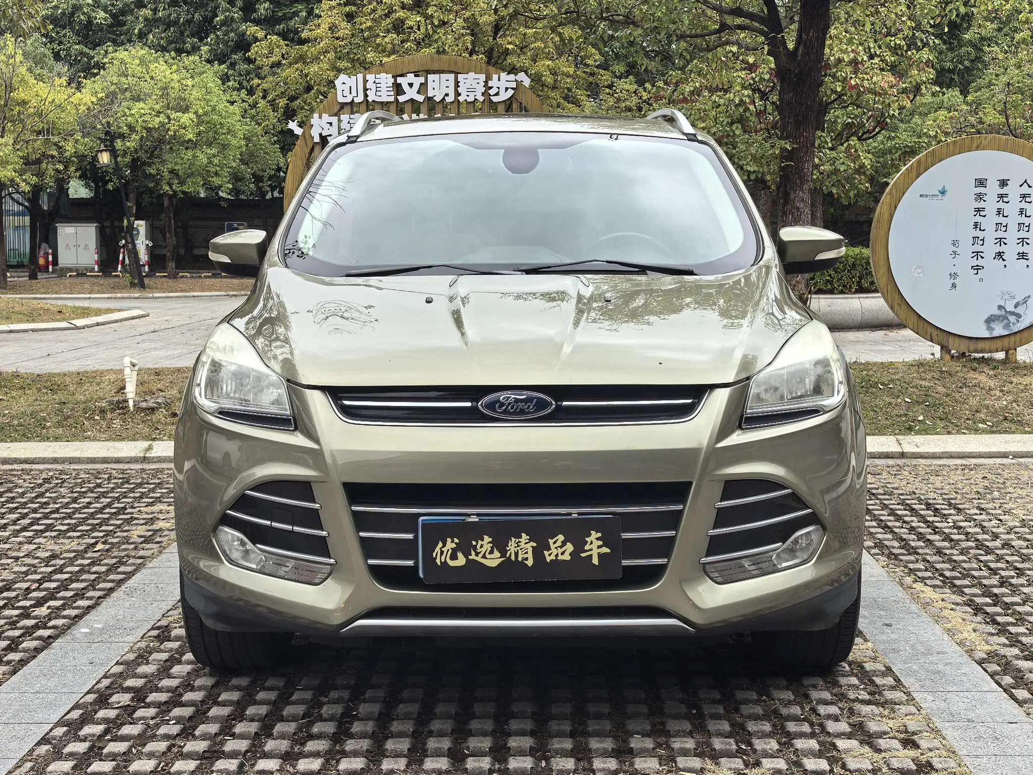 Ford Wing tiger  из Китая