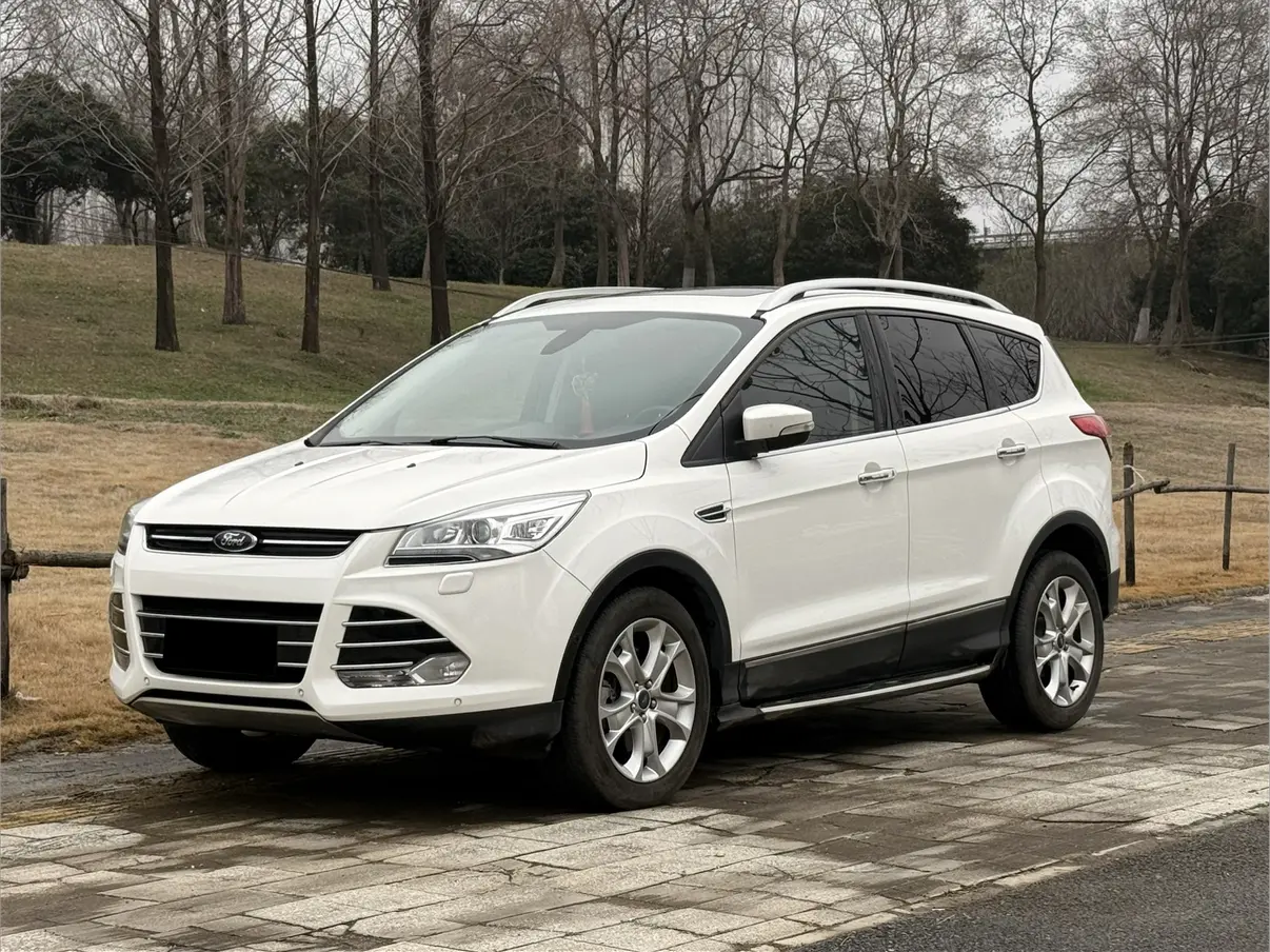 Ford Wing tiger  из Китая