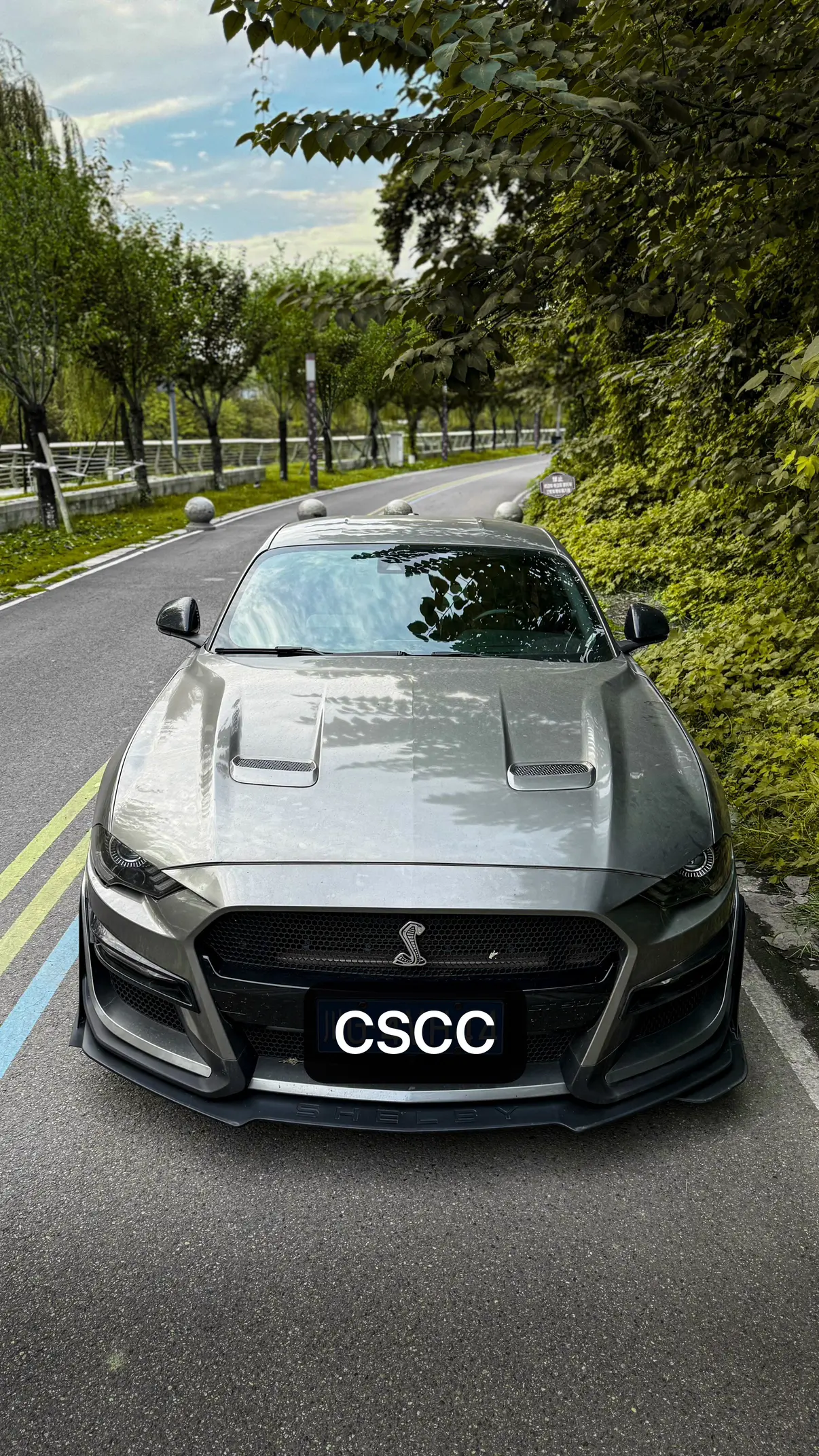 Ford Mustang  из Китая