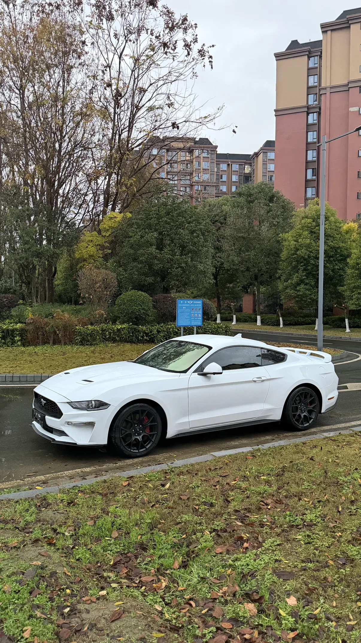 Ford Mustang  из Китая