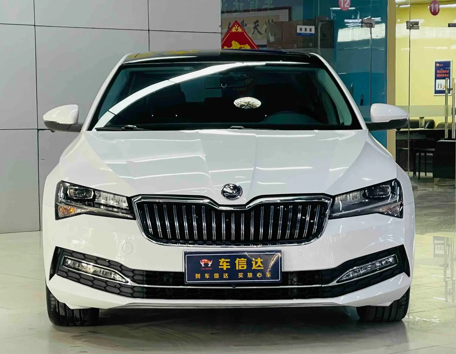 Skoda Speedy  из Китая