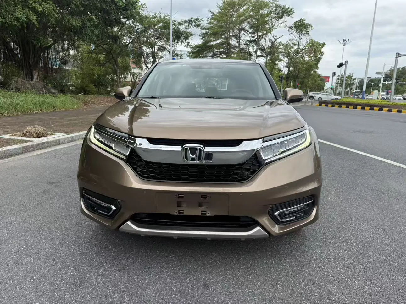 Honda Avancier (Crown Road)  из Китая