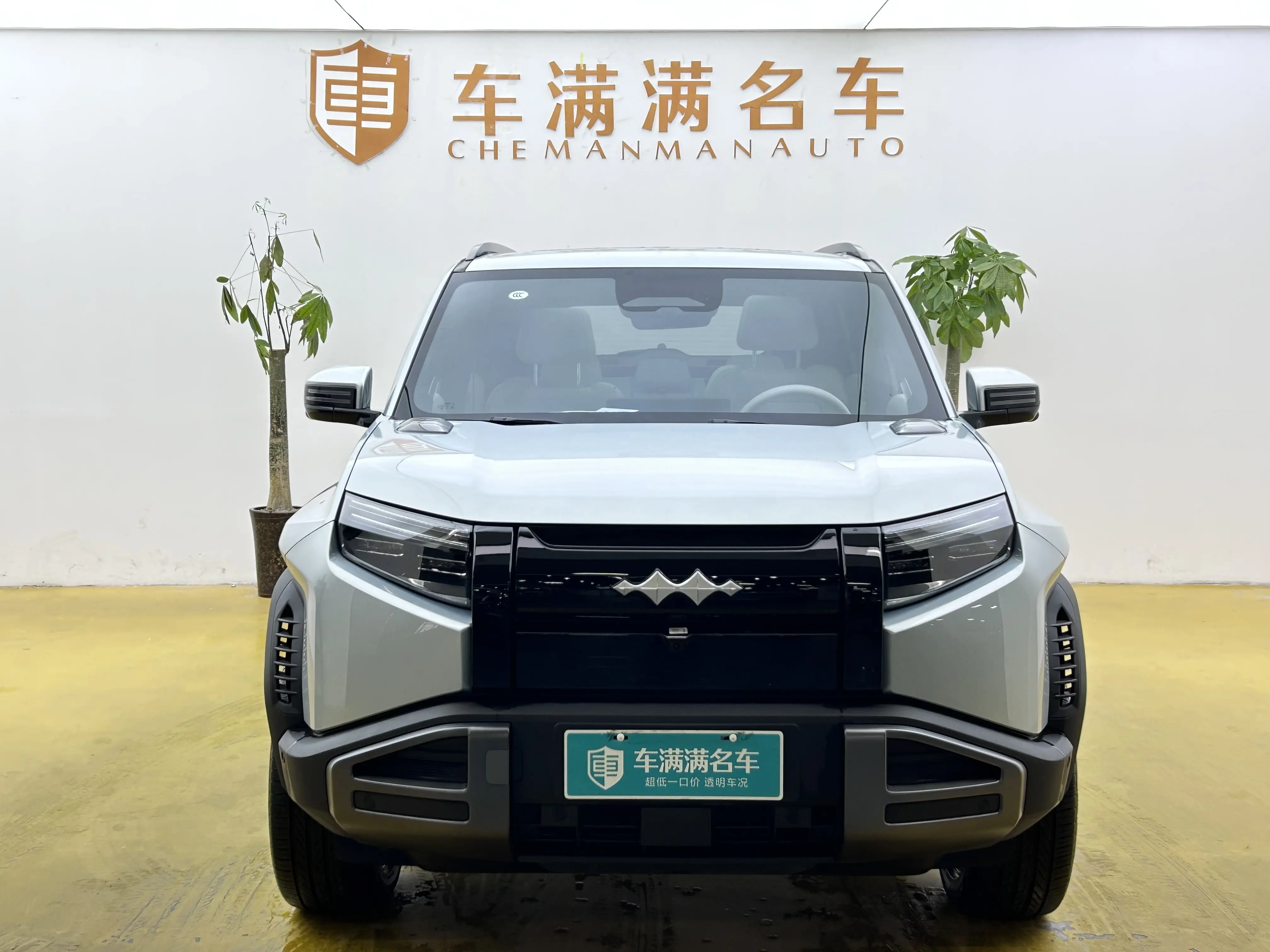 BYD Leopard Titanium 3  из Китая