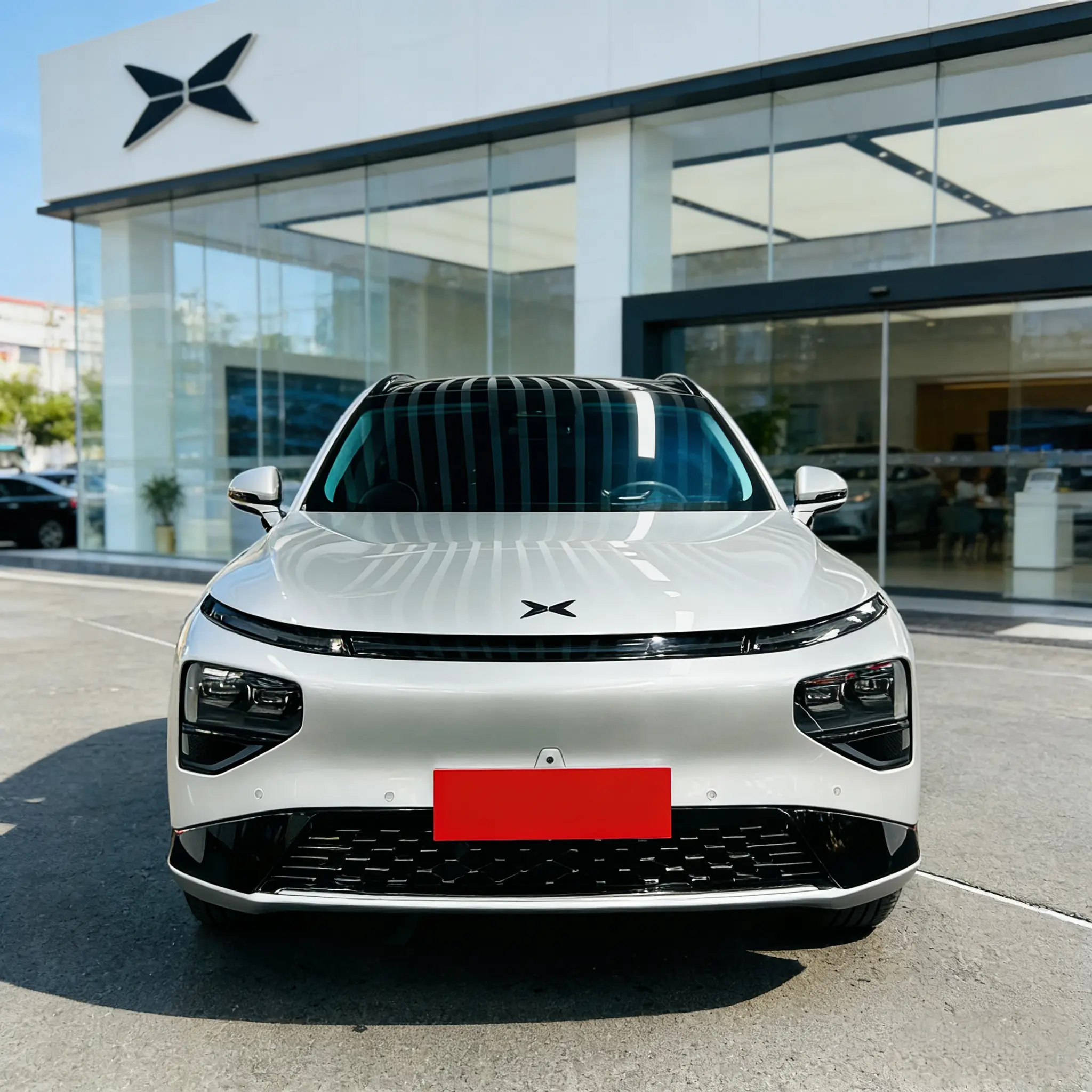 Xpeng G9  из Китая