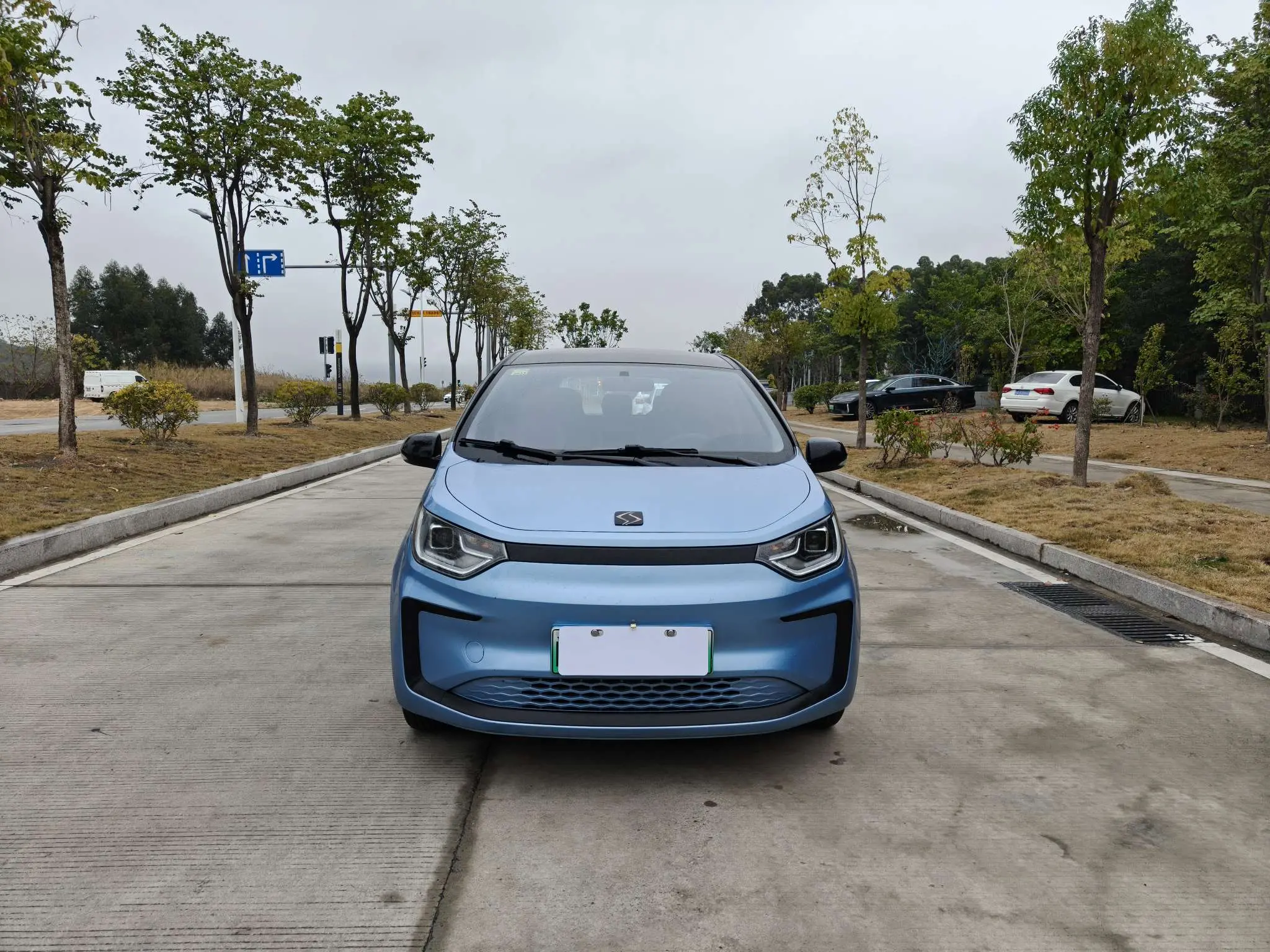 JAC (Sihao) Sihao Flower Fairy  из Китая