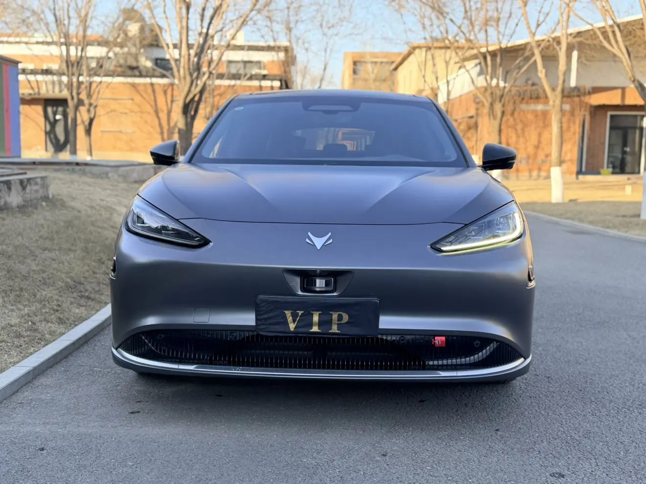 ARCFOX Extreme Fox Polar Fox Alpha S  из Китая