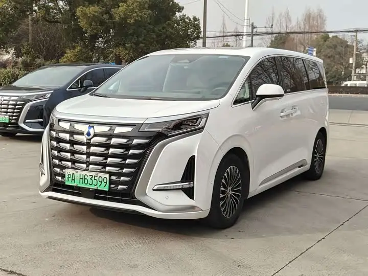 Denza D9 DM  из Китая