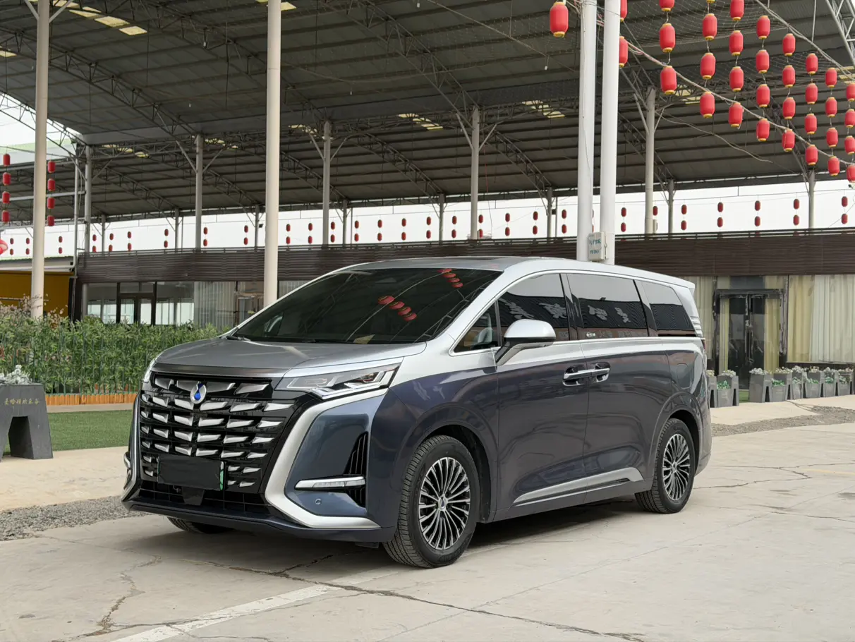 Denza D9 DM  из Китая