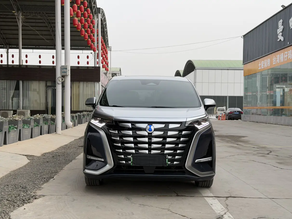 Denza D9 DM  из Китая