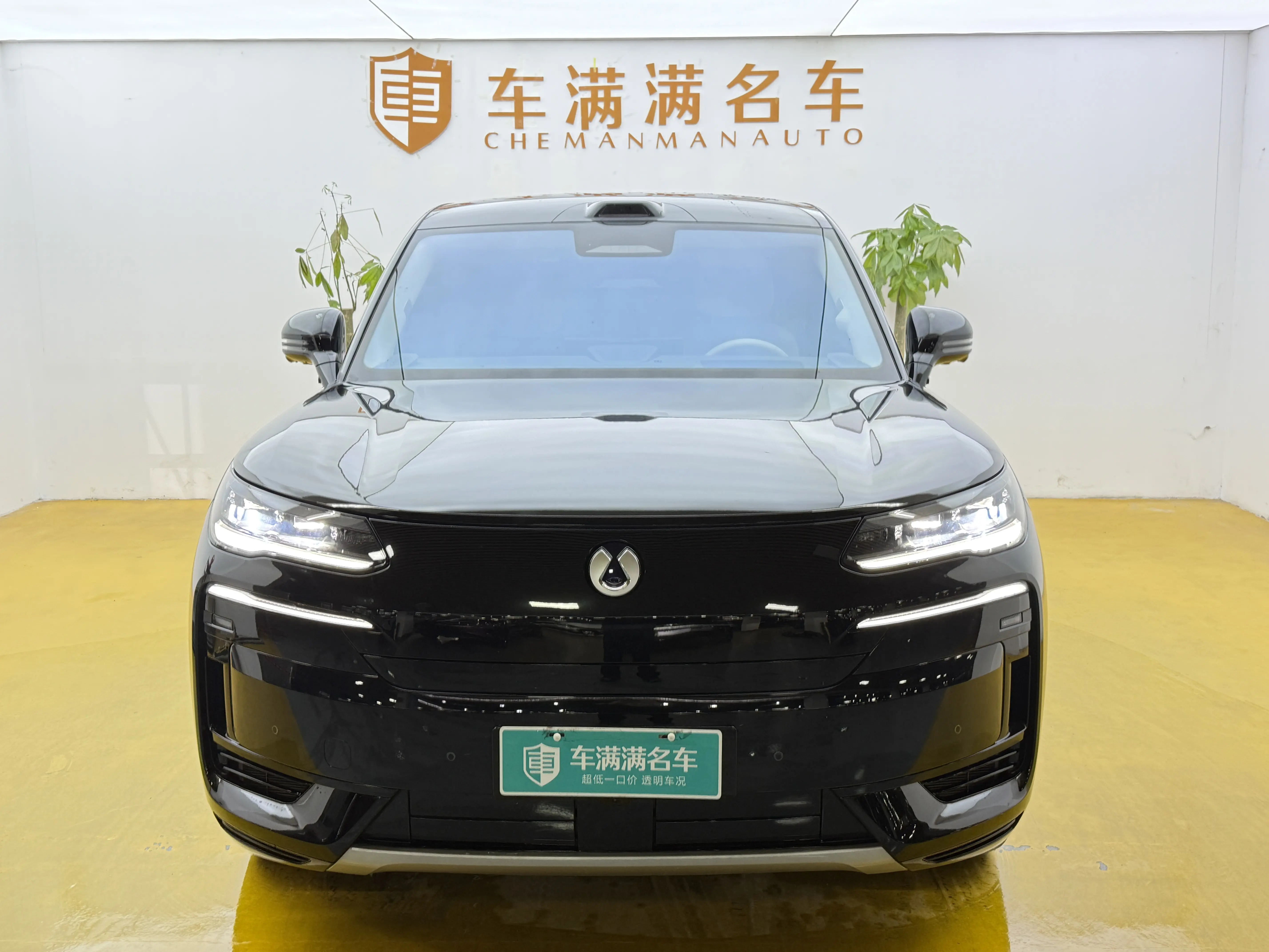 Denza Tengzhong N9 DM  из Китая