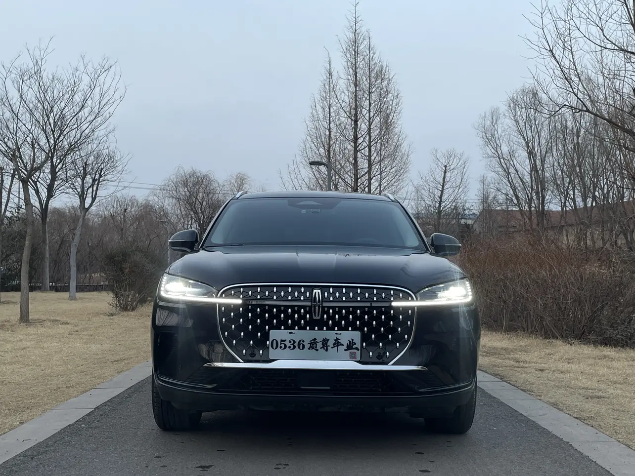 Lincoln Adventurer  из Китая