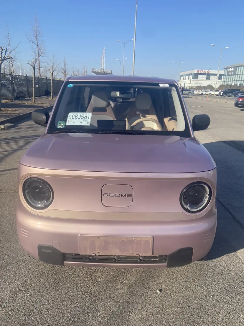 Geely Panda  из Китая