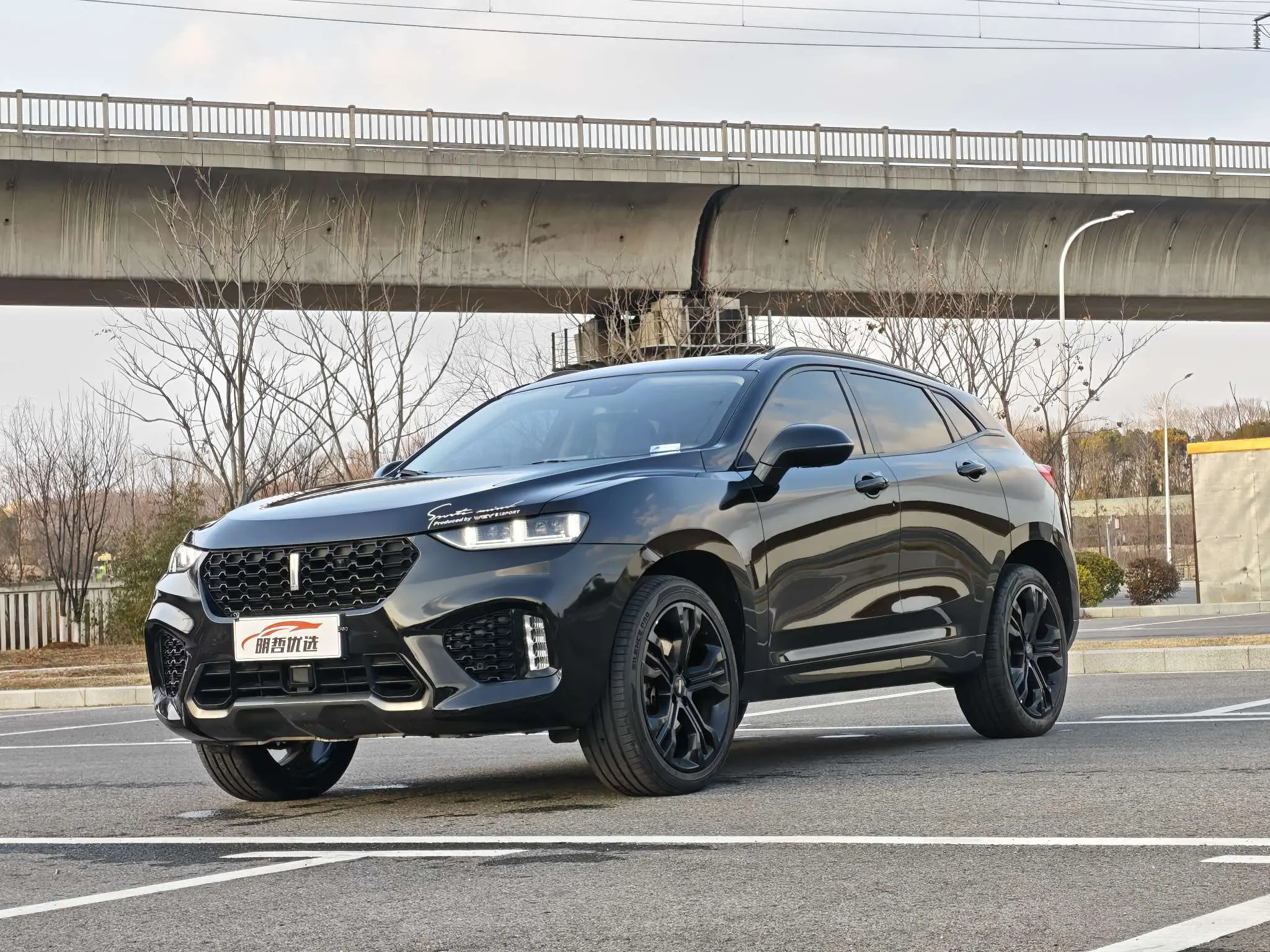 Wey Wei brand VV7  из Китая