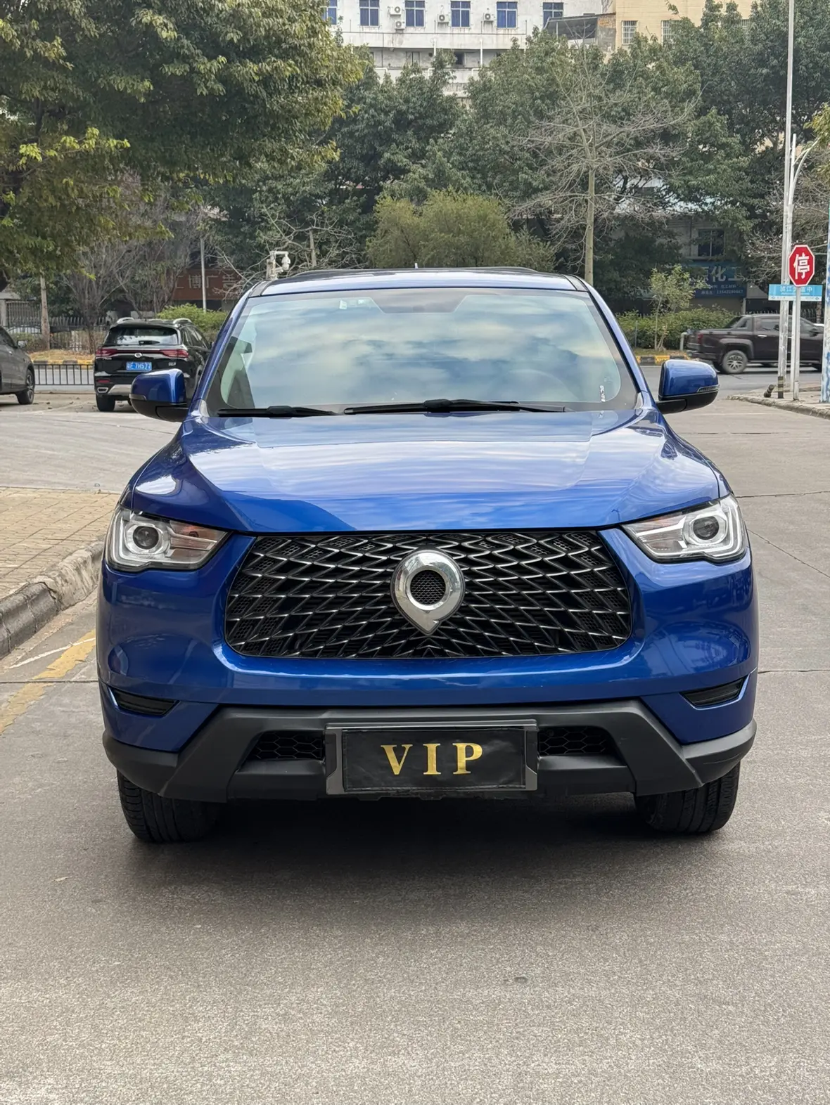 Great Wall Gun  из Китая