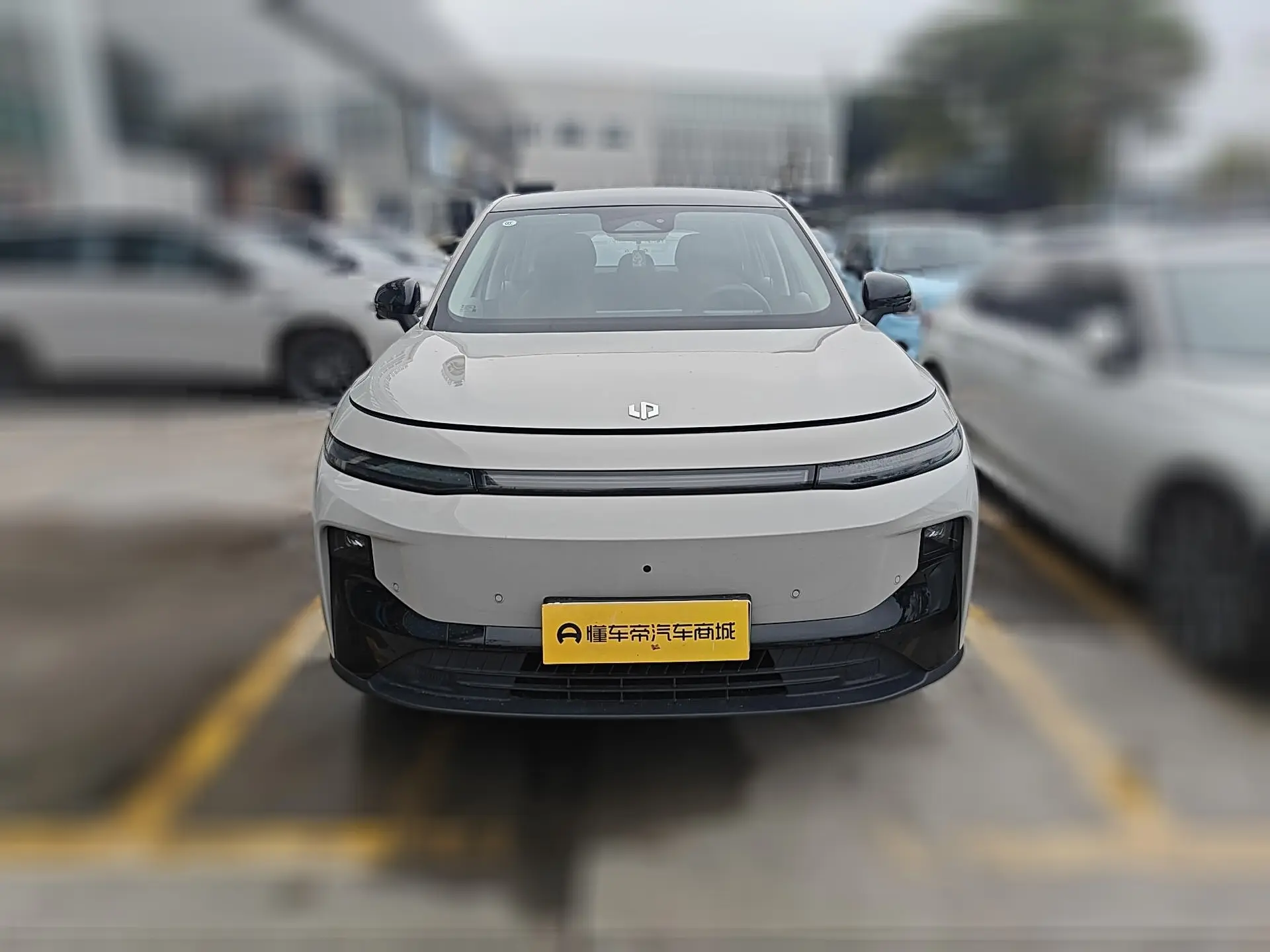 Leapmotor B10  из Китая