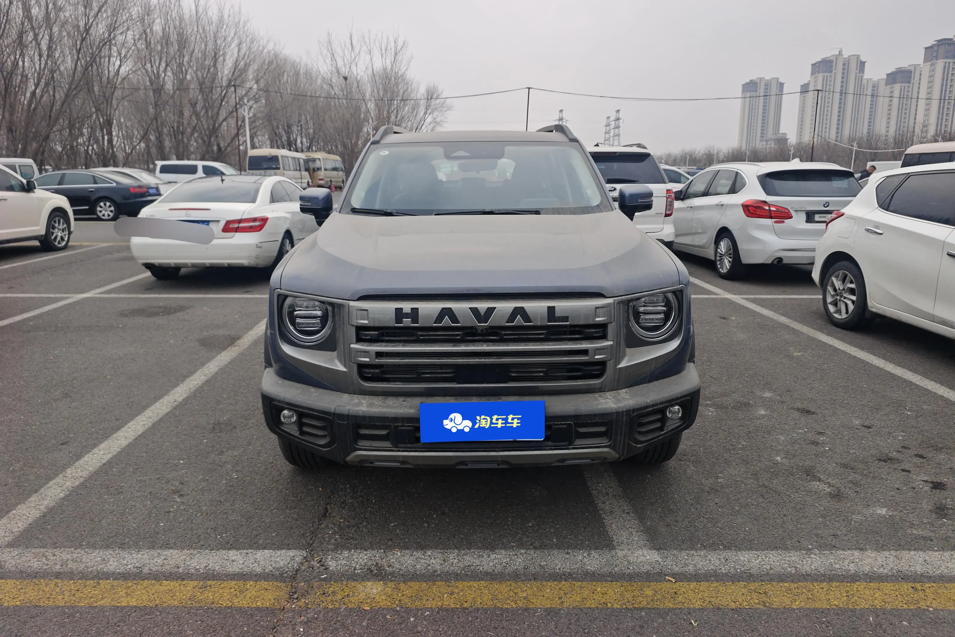 Haval Dargo