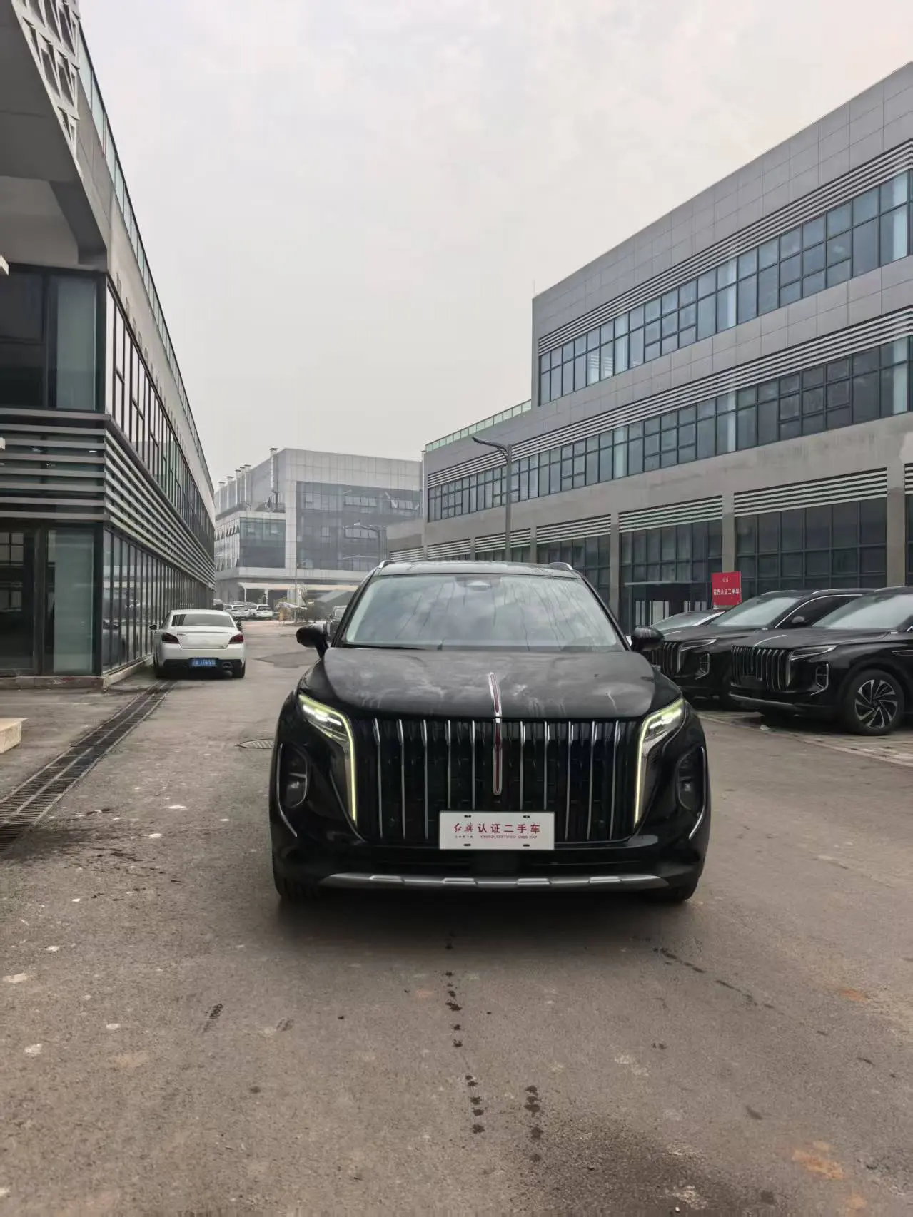 Hongqi HS7 PHEV  из Китая