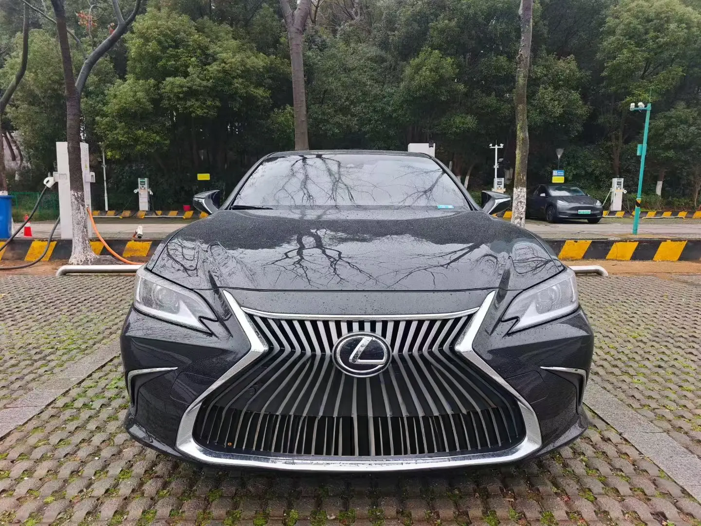 Lexus ES  из Китая