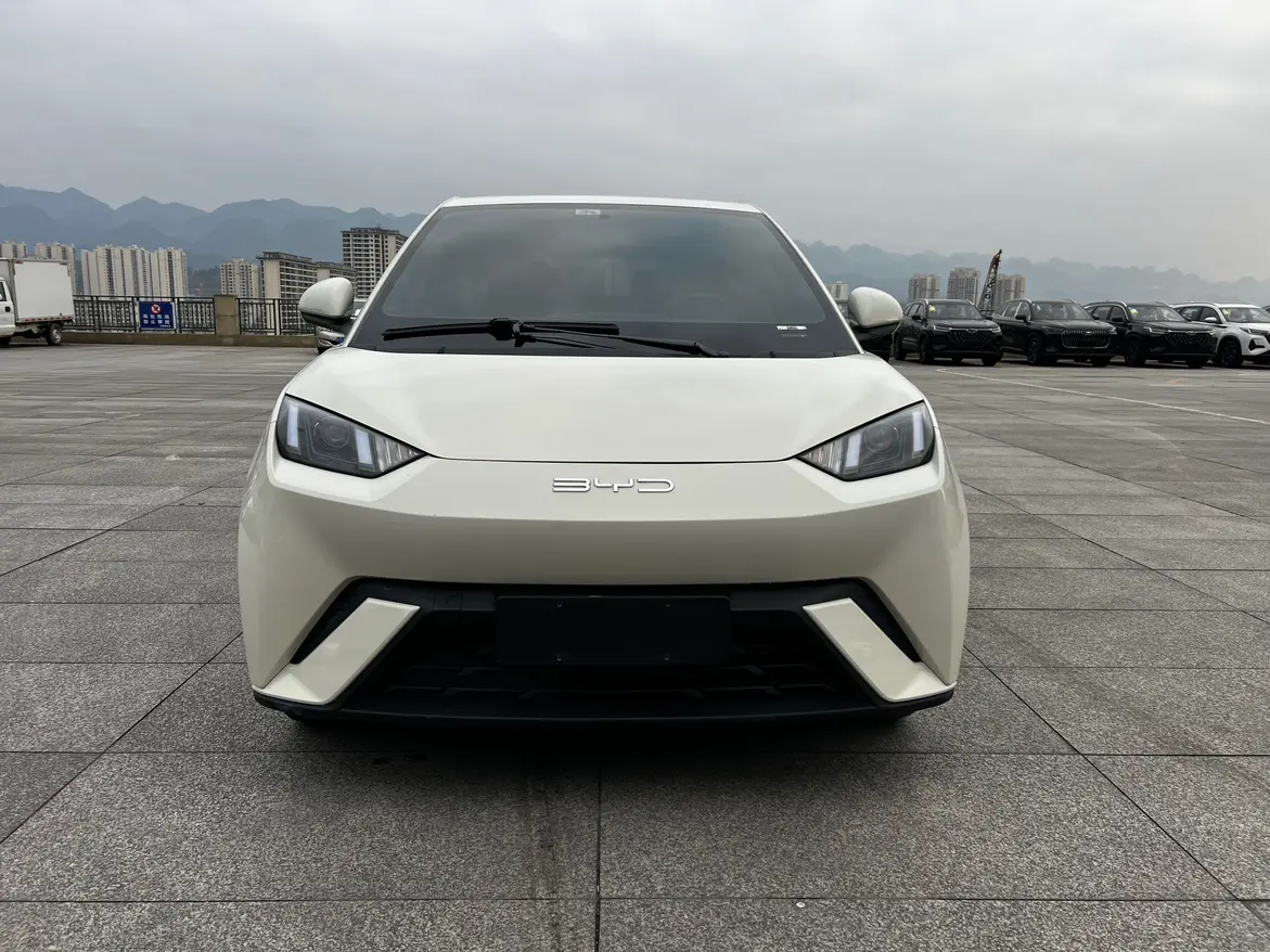 BYD Seagull  из Китая