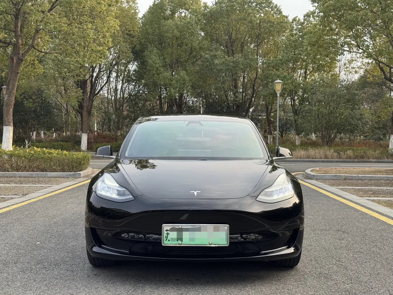 Tesla Model 3  из Китая