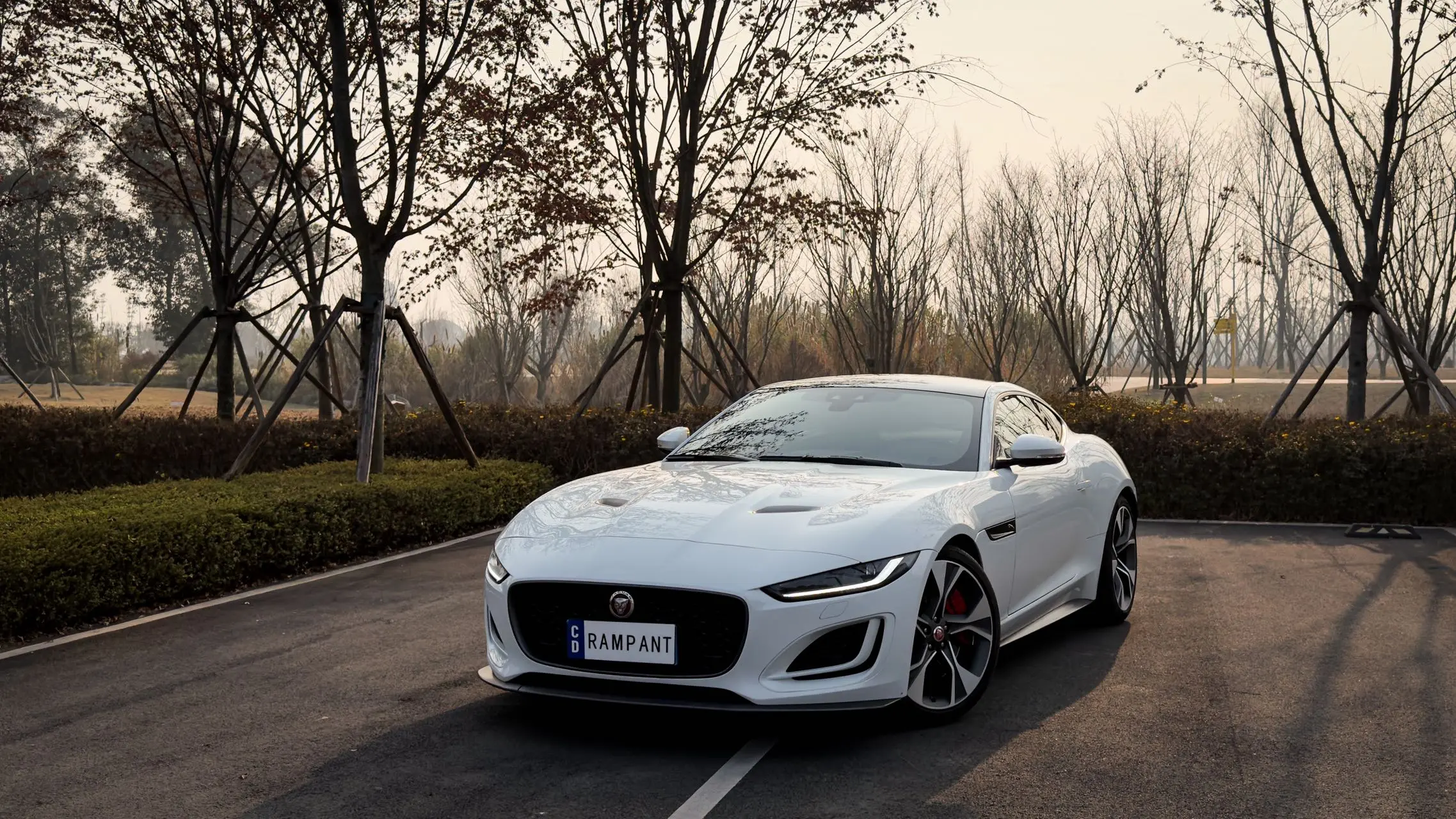 Jaguar F-TYPE  из Китая