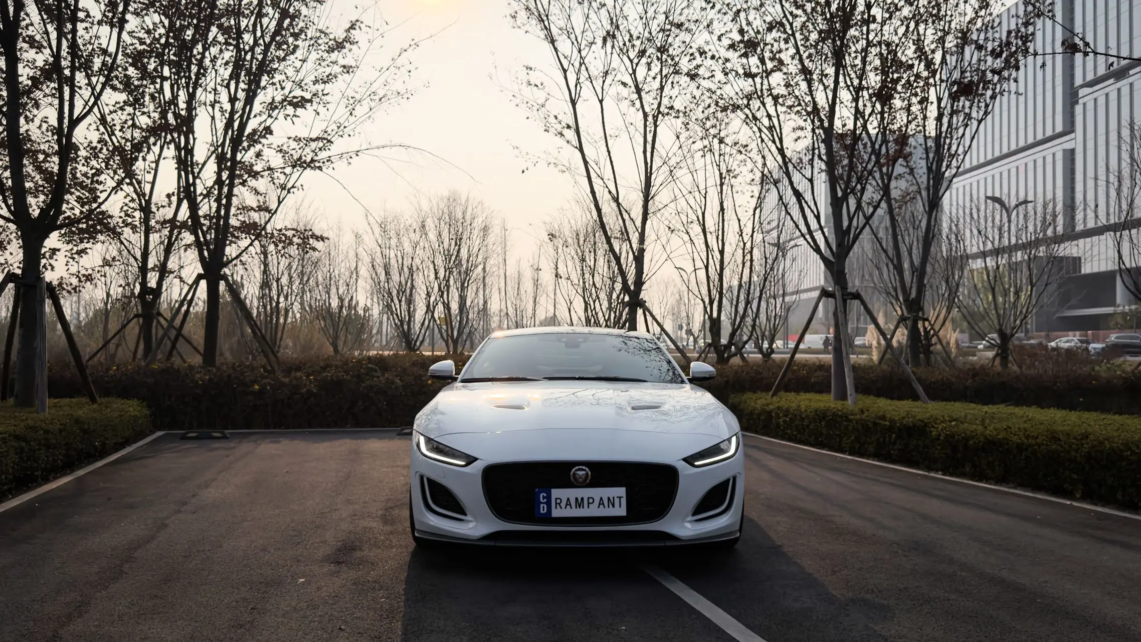 Jaguar F-TYPE  из Китая