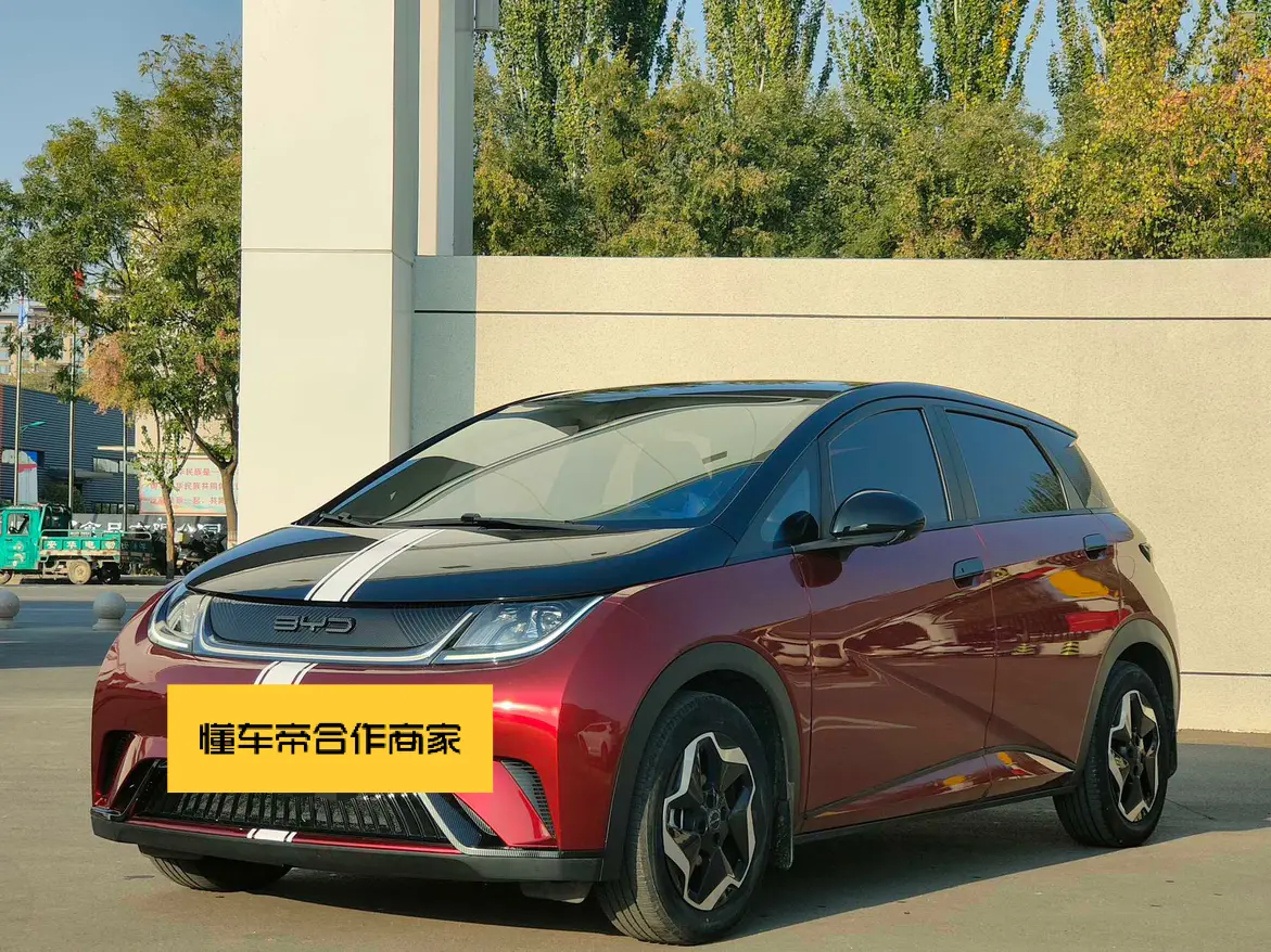 BYD Dolphin  из Китая