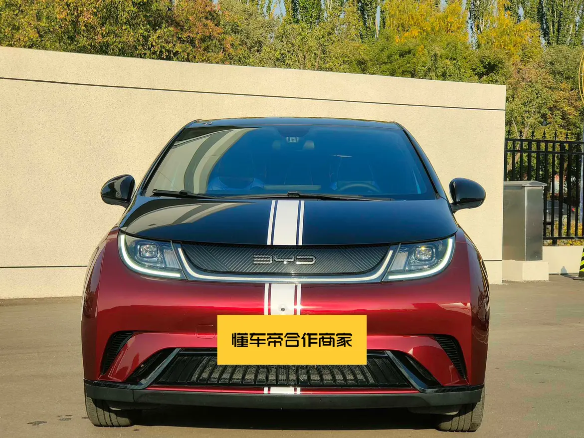 BYD Dolphin  из Китая