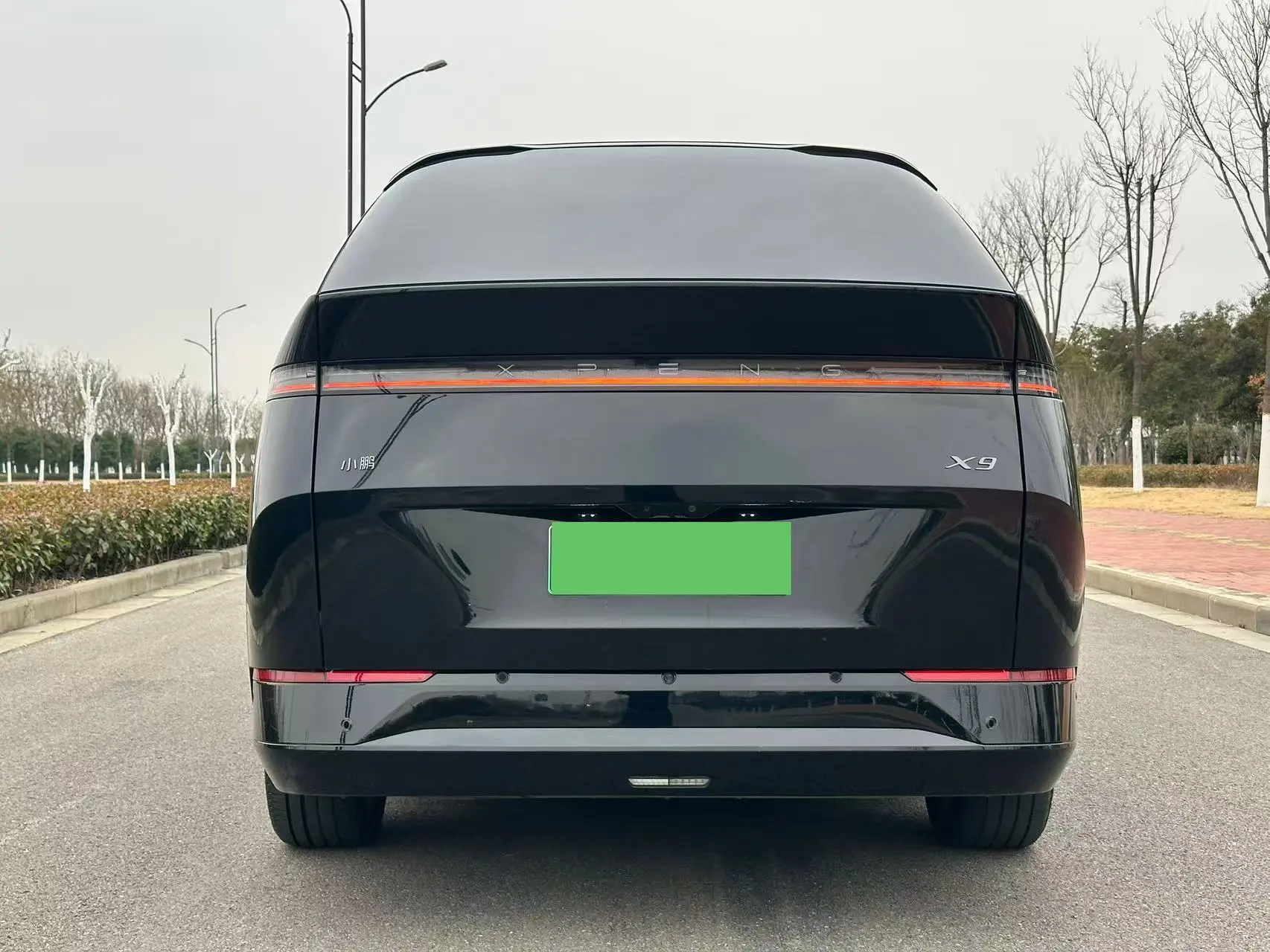 Xpeng X9  из Китая