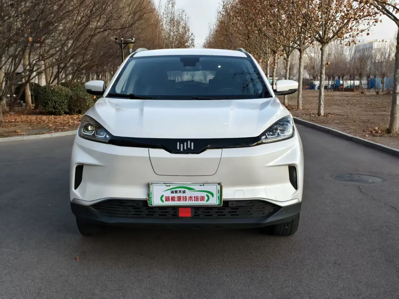 Weltmeister WM EX5  из Китая