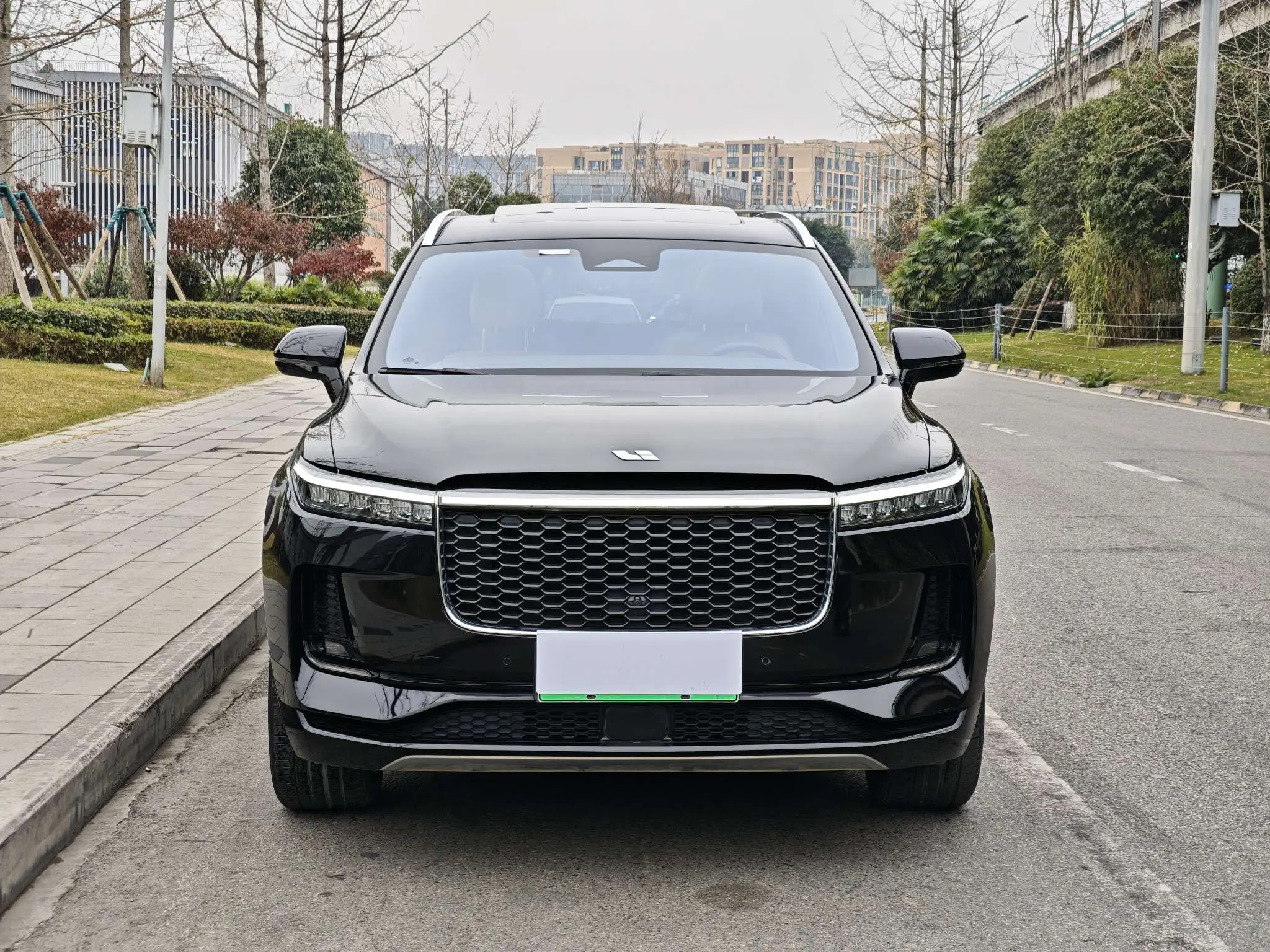 Li ONE (Ideal ONE)  из Китая