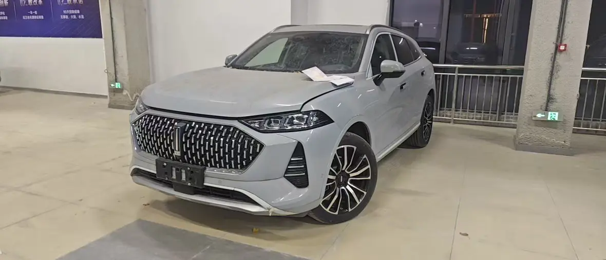 Wey Mocha  из Китая