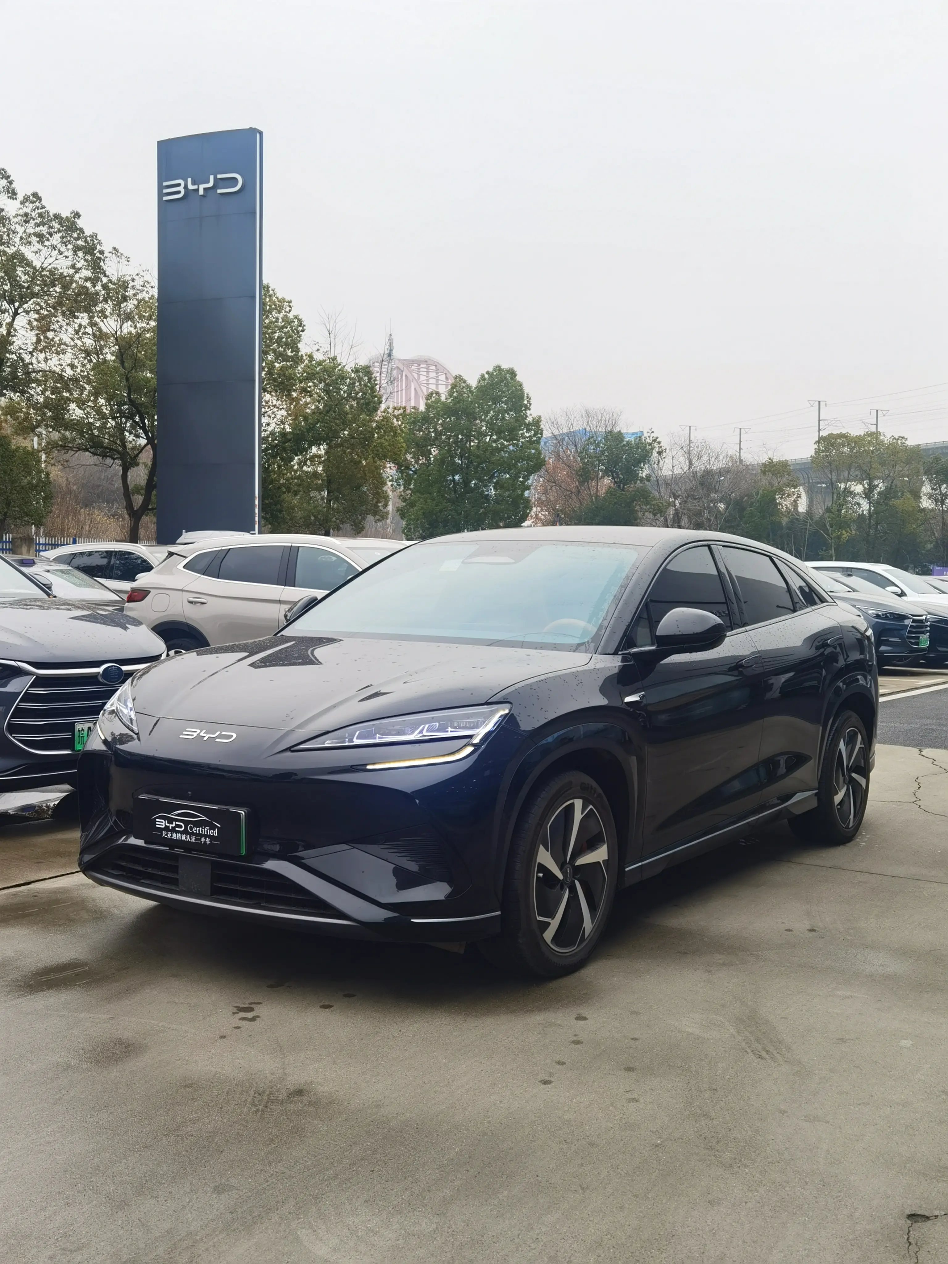 BYD Sea Lion 07EV  из Китая