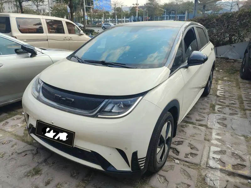 BYD Dolphin  из Китая