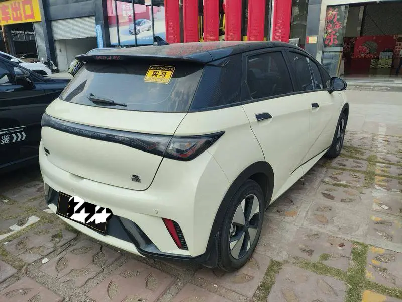 BYD Dolphin  из Китая