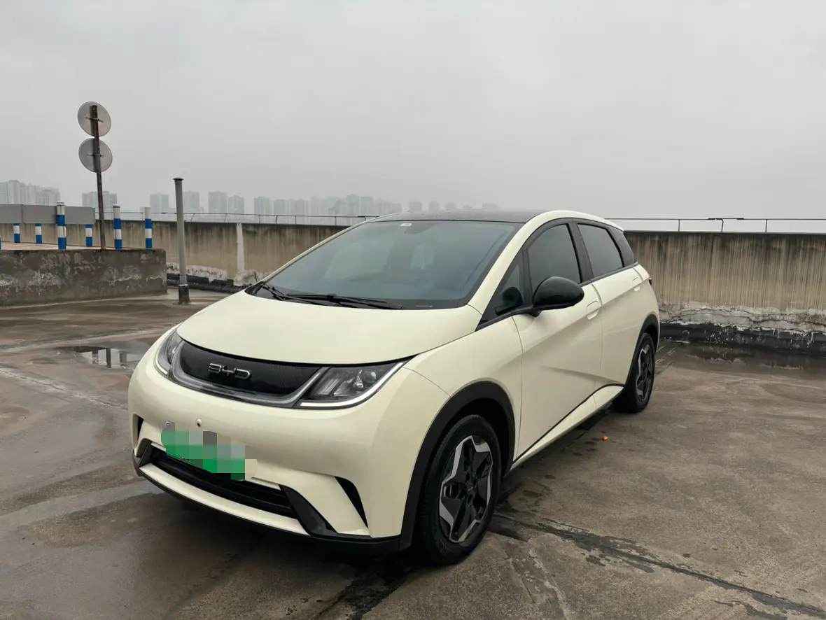 BYD Dolphin  из Китая