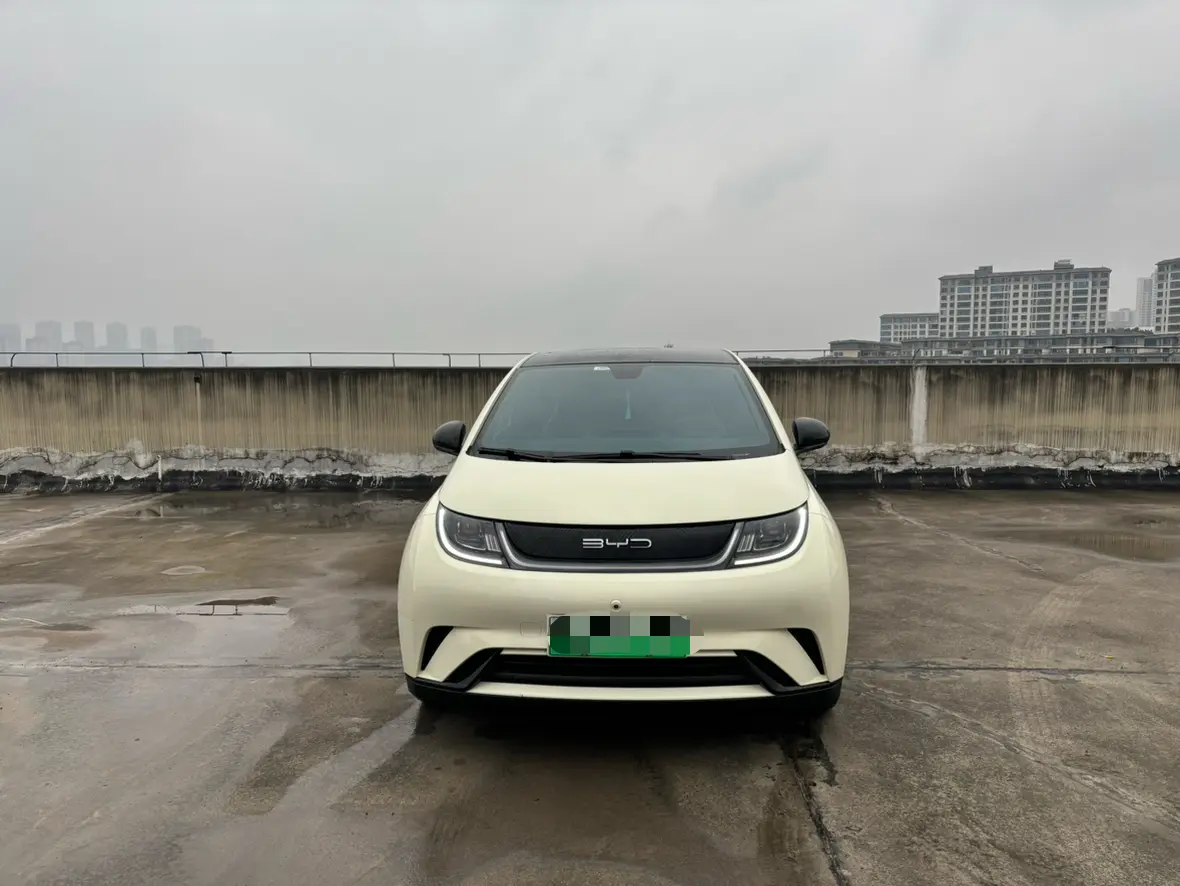 BYD Dolphin  из Китая