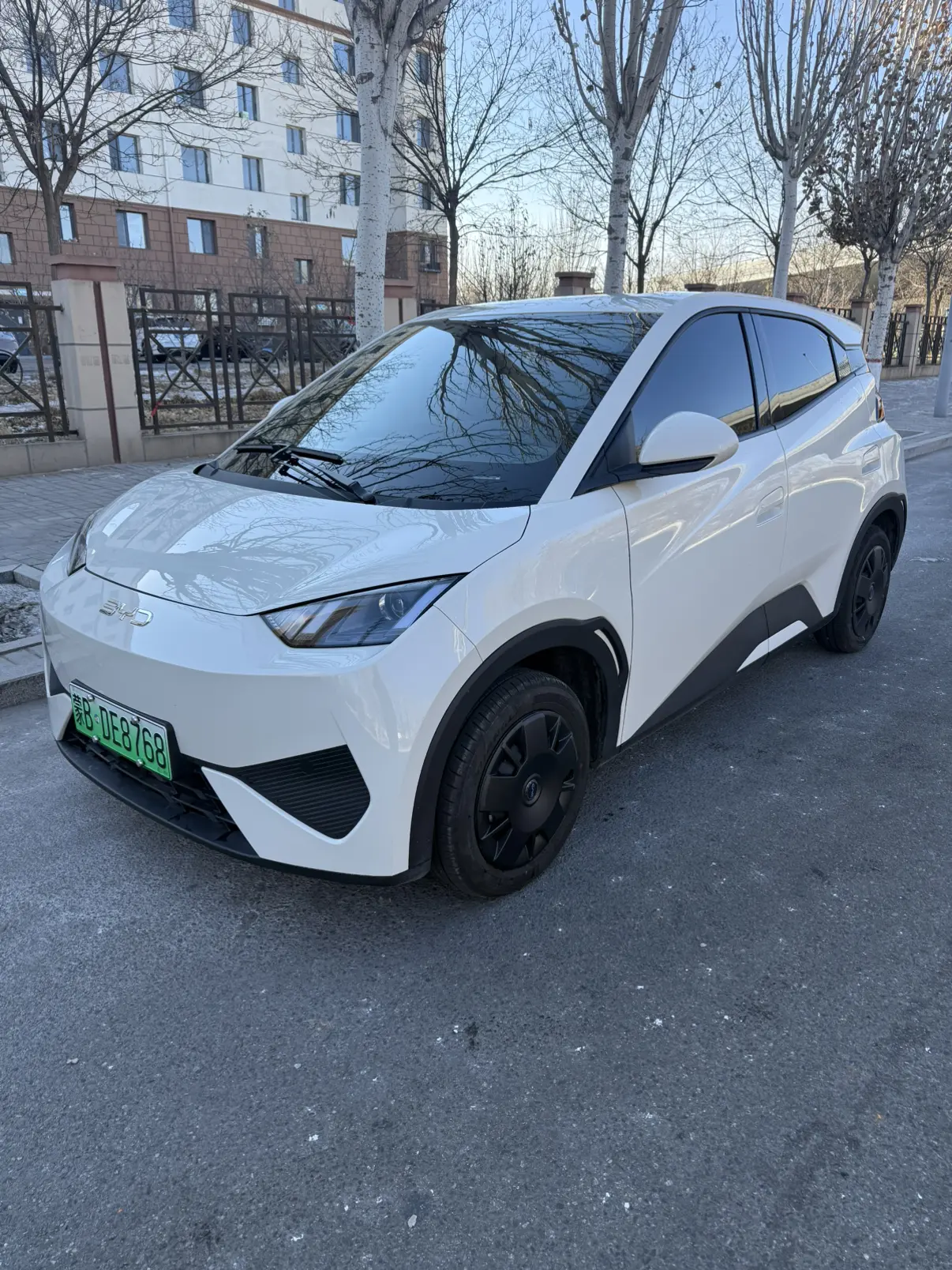 BYD Seagull  из Китая