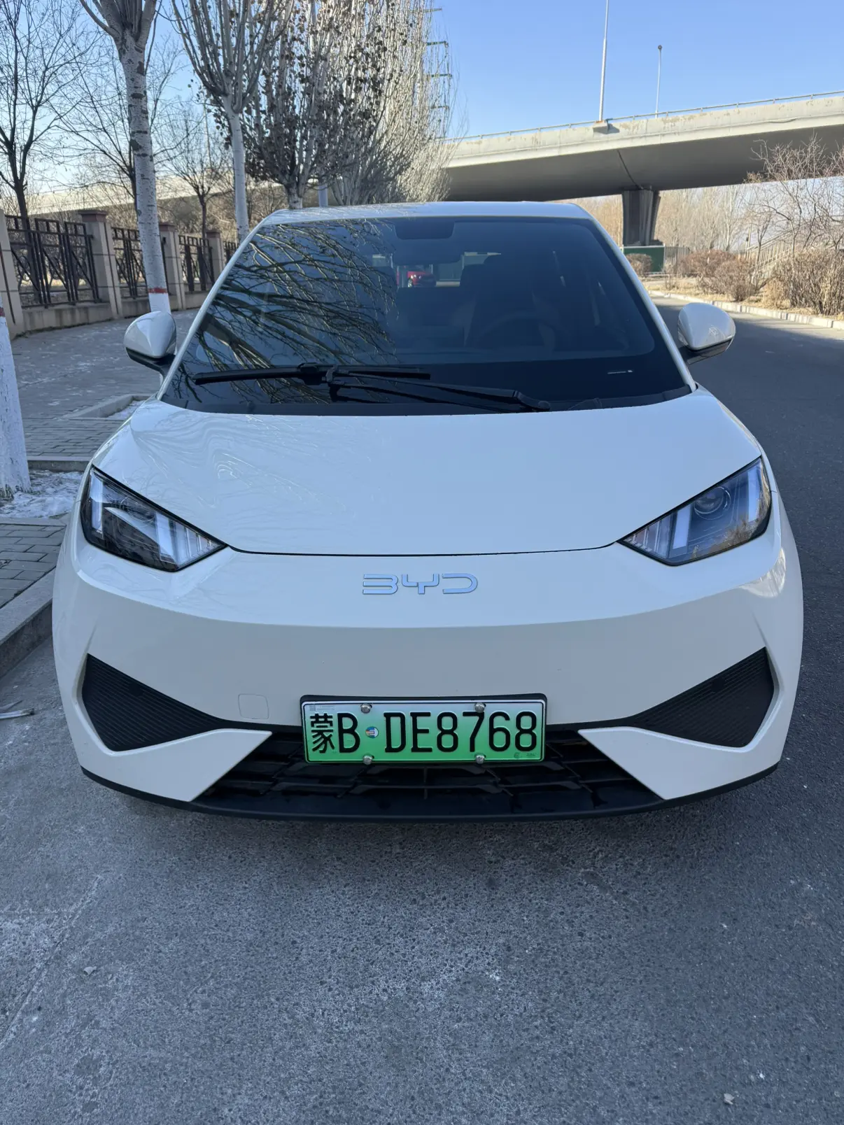 BYD Seagull  из Китая